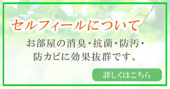 セルフィール